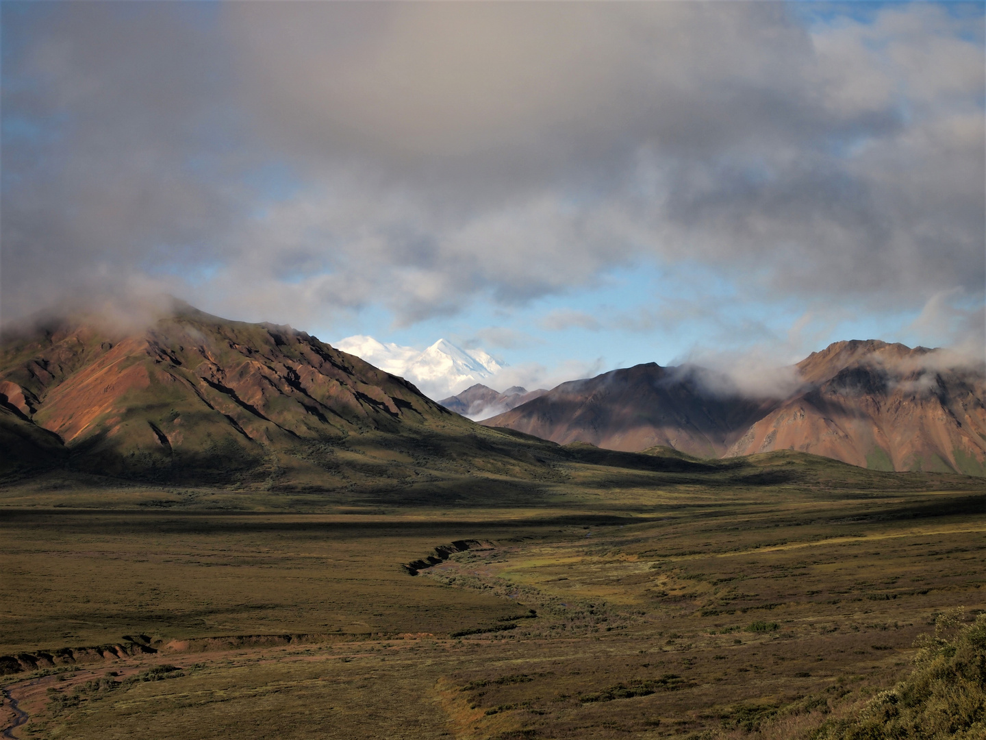 Denali National Park