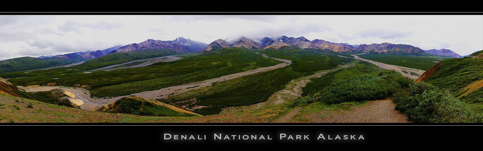 Denali National Park Alaska