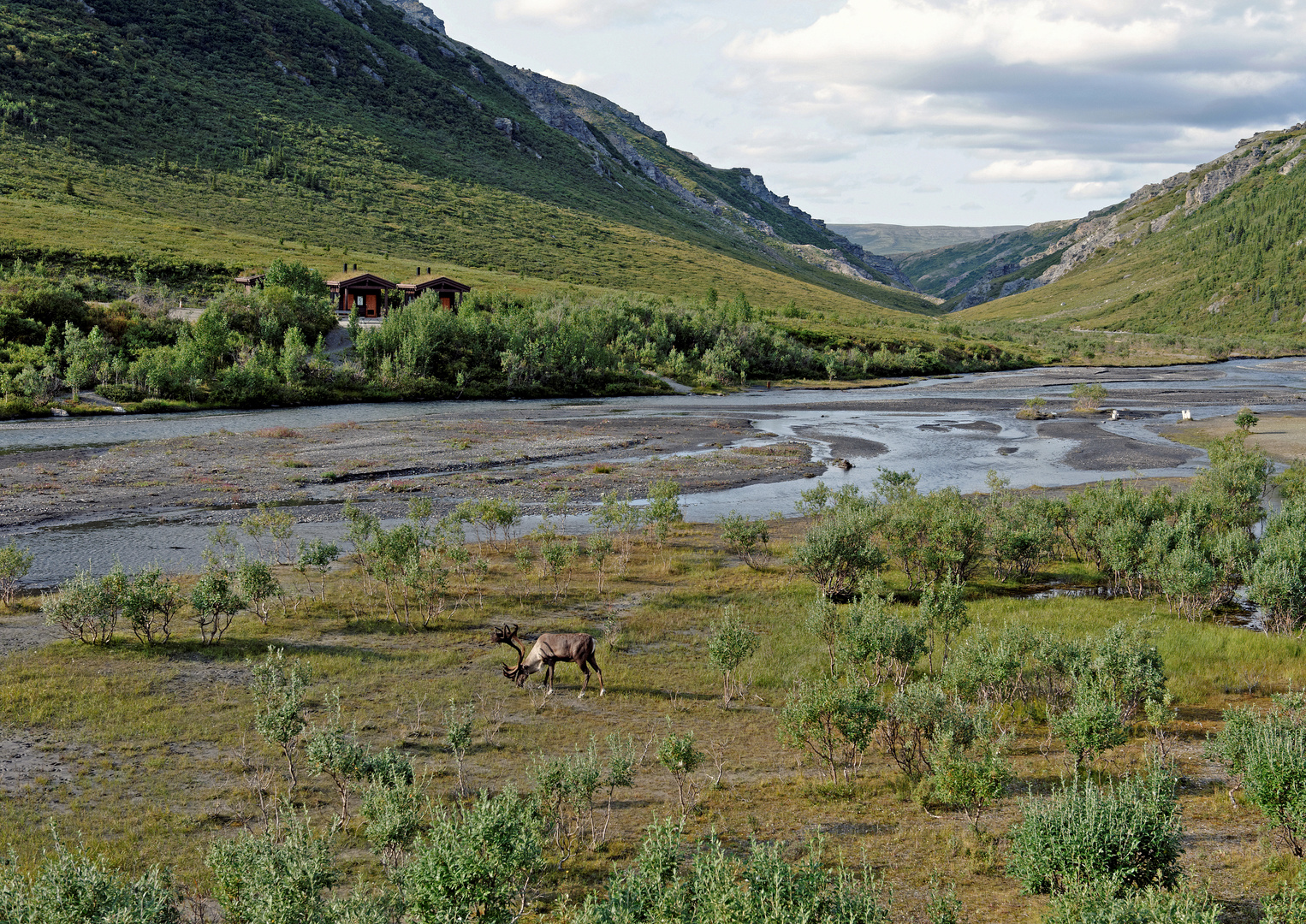 Denali National Park Alaska