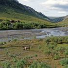 Denali National Park Alaska