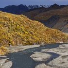 Denali National-Park