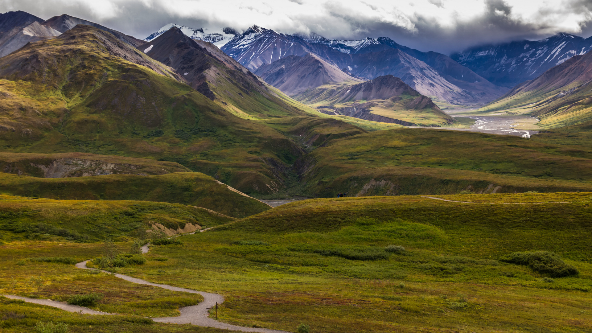 Denali National Park