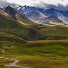 Denali National Park