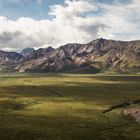 Denali National Park/Alaska