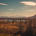 Denali Nationalpark