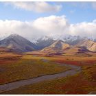 Denali Nationalpark