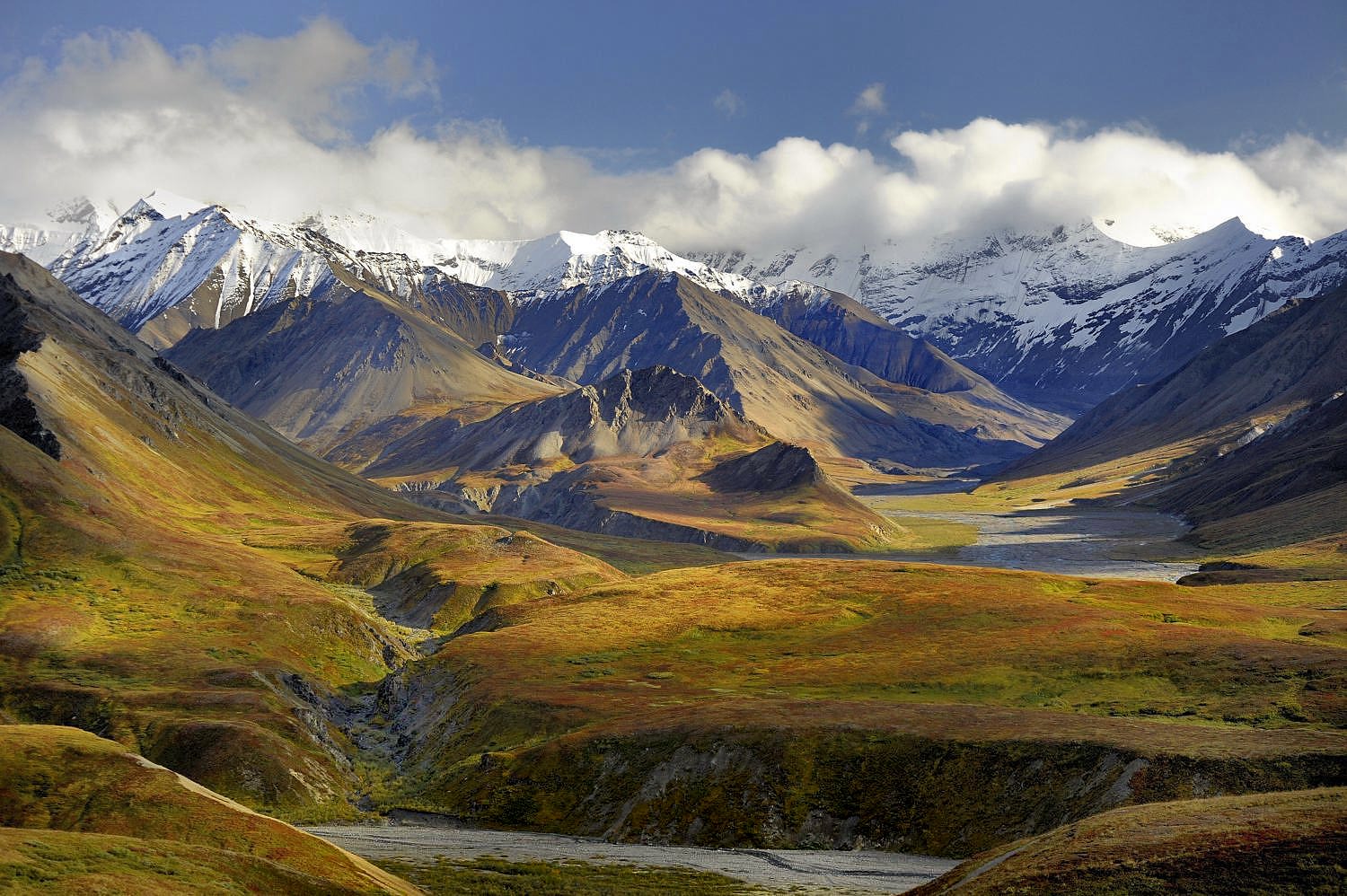 Denali Nationalpark