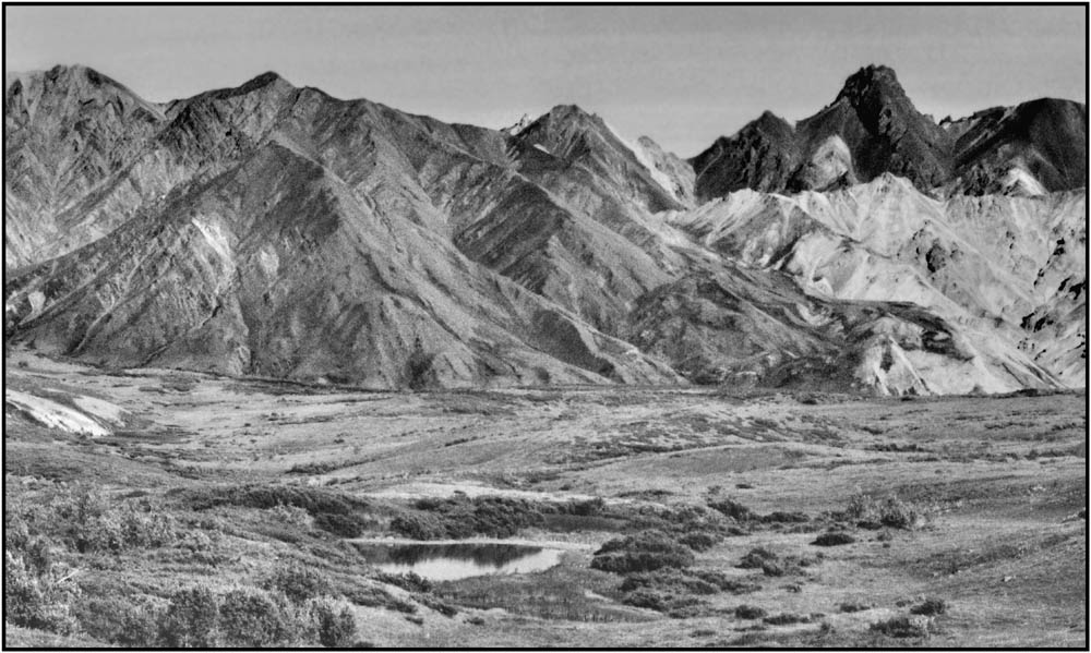 Denali Nationalpark in Alaska (USA)