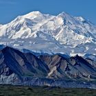 DENALI NP