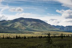 Denali NP  Alaska   DSC_0006