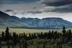 Denali NP Alaska   DSC_0010