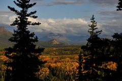 Denali NP