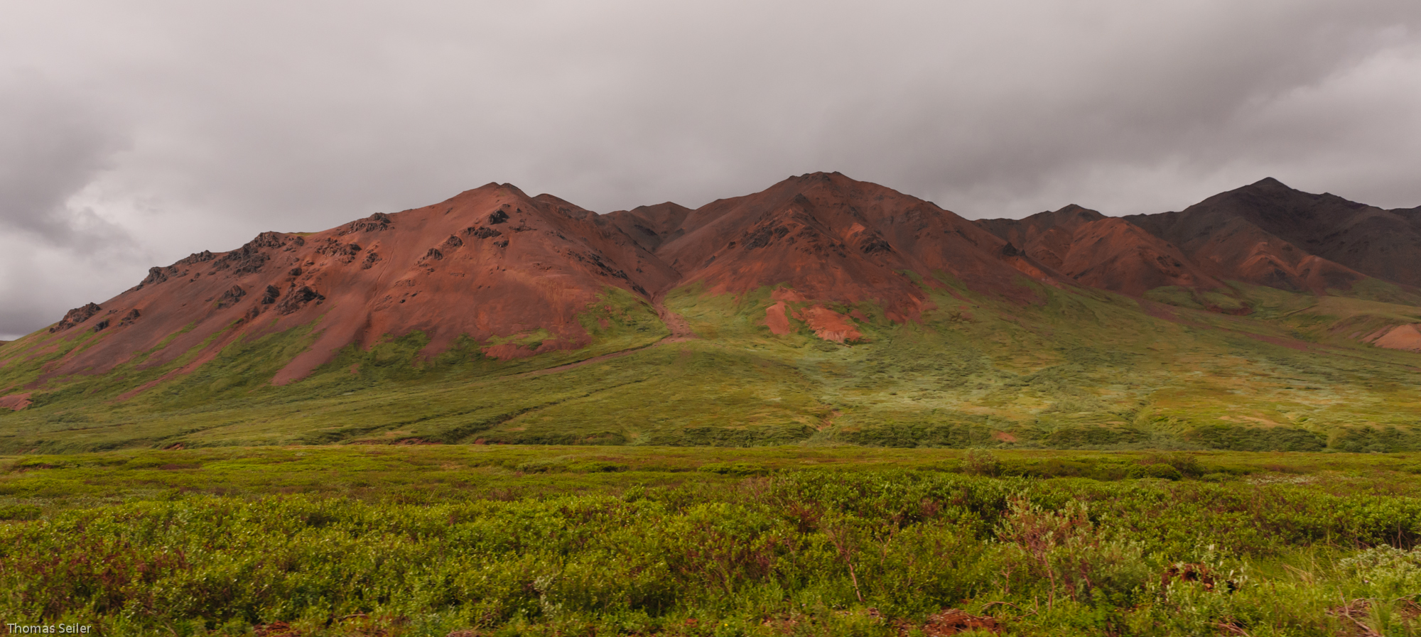 denali n.p.