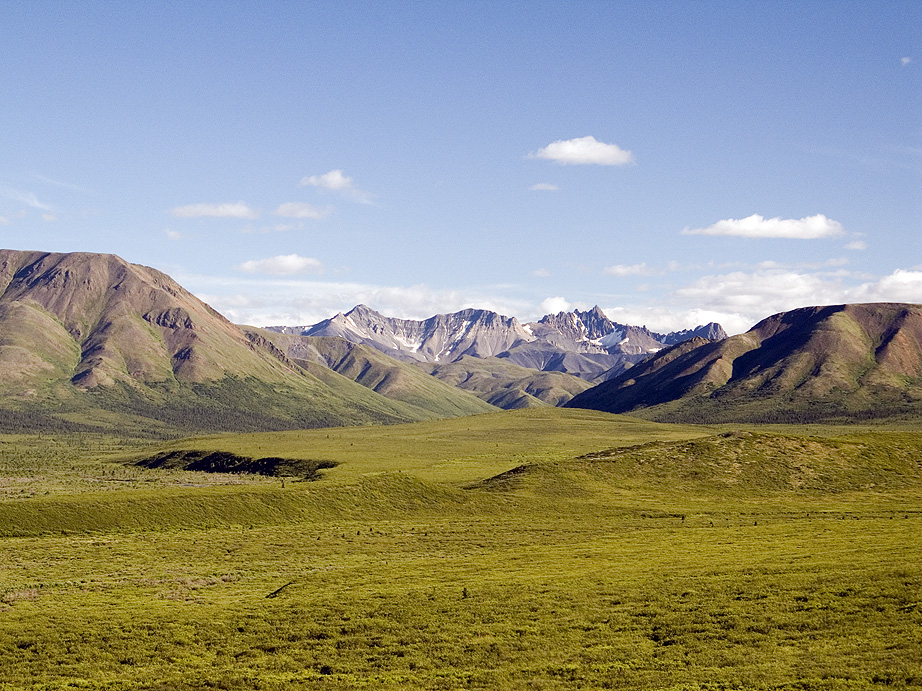 denali np