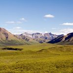 denali np