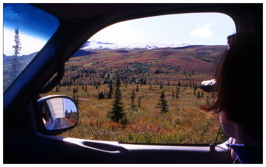 Denali NP im Herbst