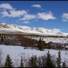 Denali park