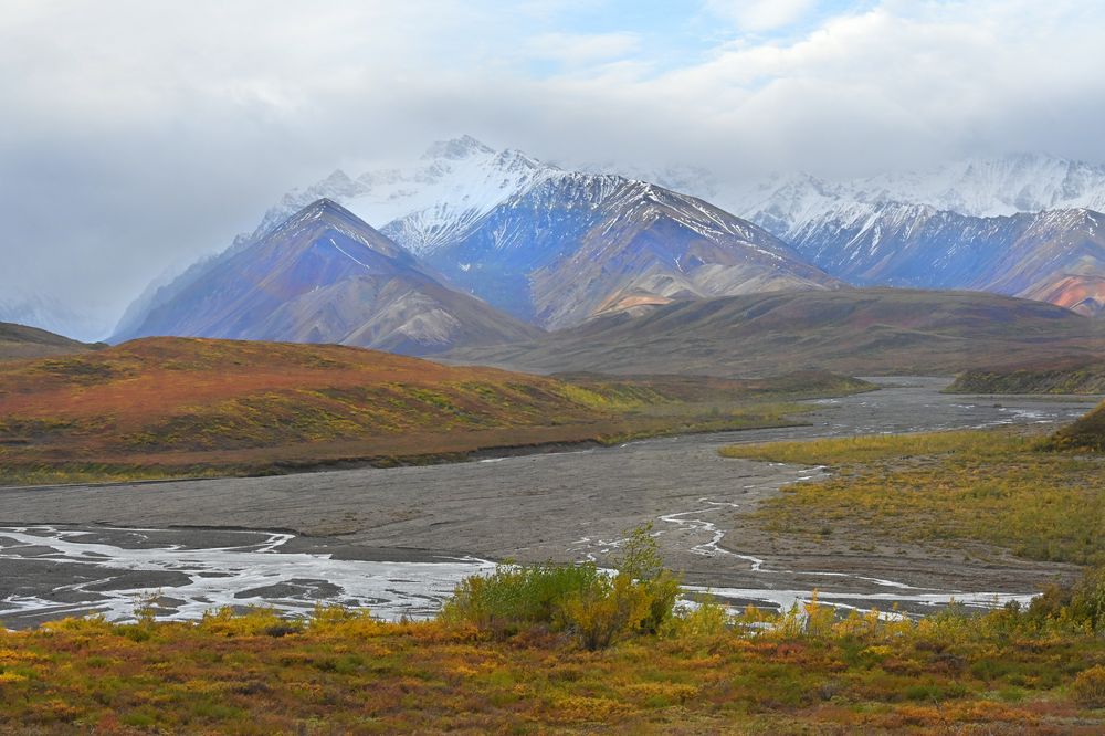 Denali Tundra 2