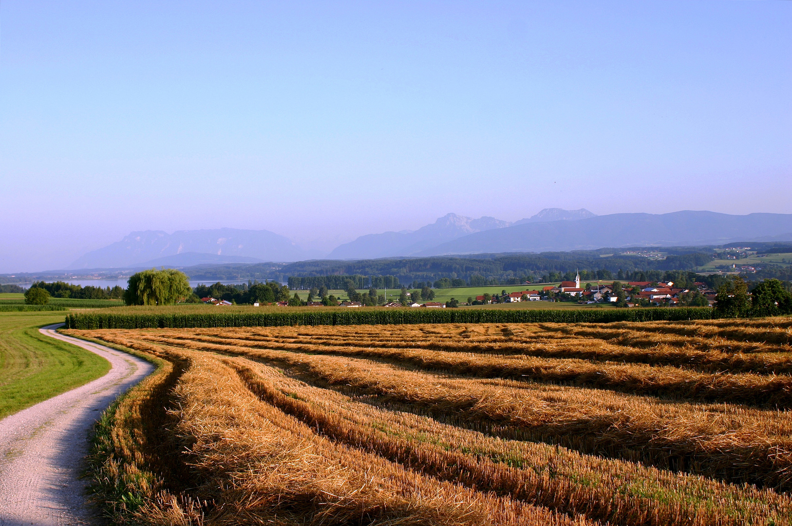 Denhauser Sommer