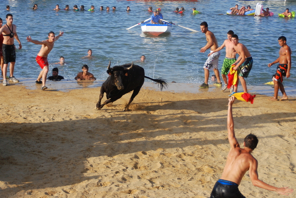 Denia, Bous a la Mar 2012