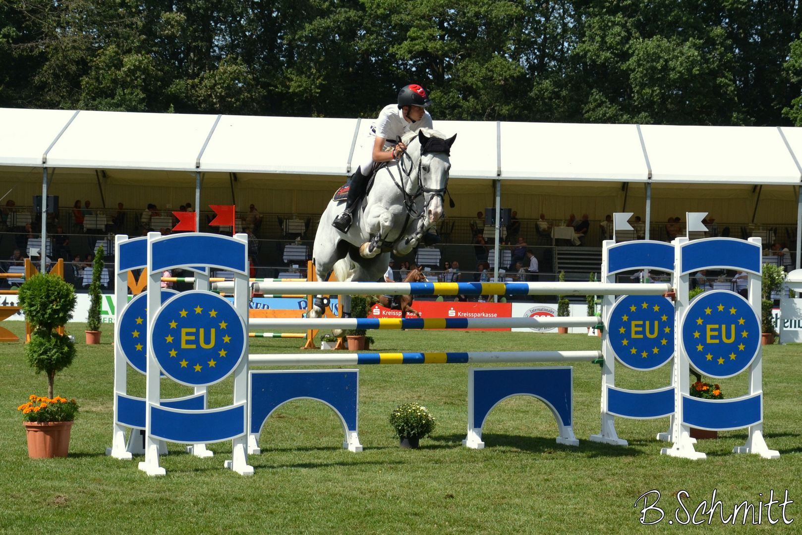 Denis Nielsen, GER, auf Quincy-Star