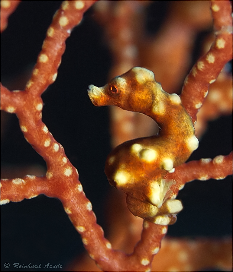 Denise Foto & Bild fotos, world, meer Bilder auf