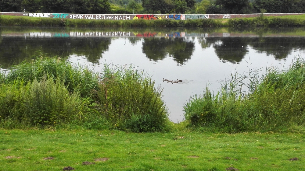 Denk darüber nach... ... du Ente