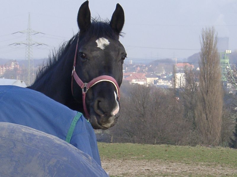 Denk ja nicht das ich jetzt mit rein komme!