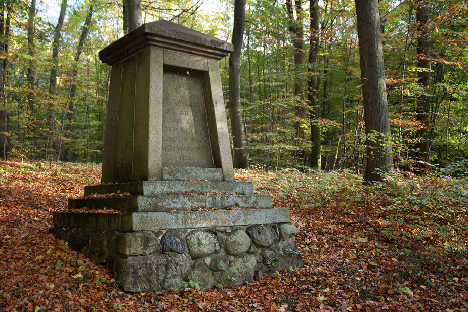 Denkmäler Burg Schlitz - Sammlung