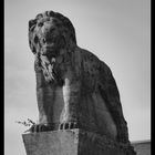 Denkmal des bergischen Löwen