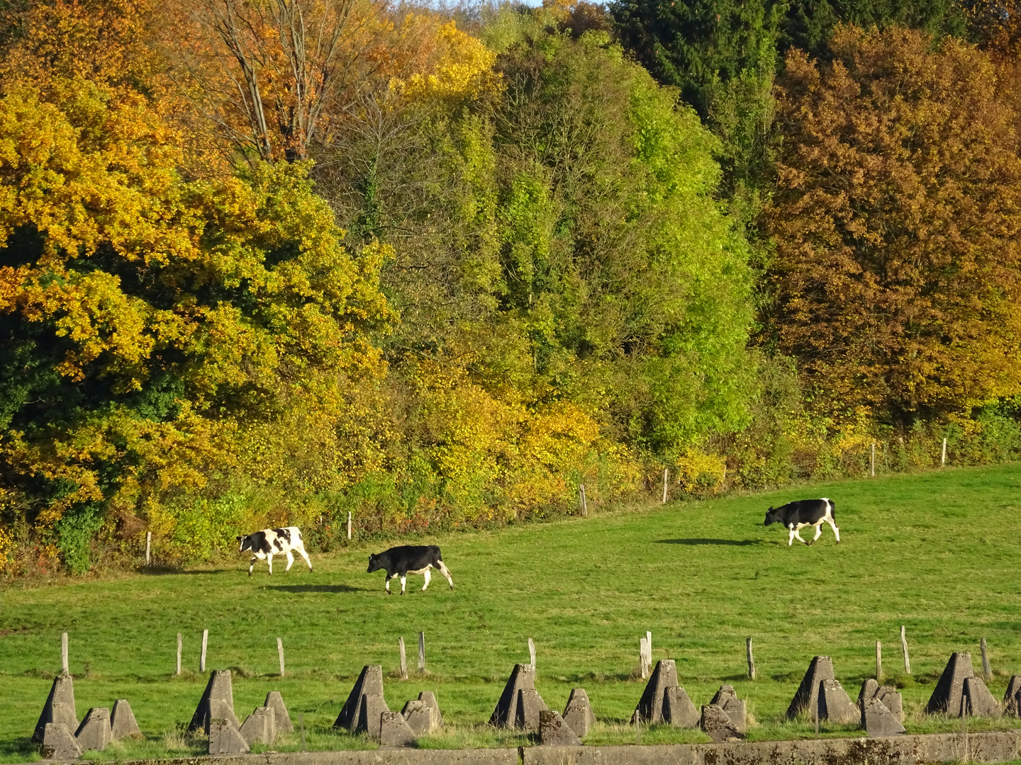 Denkmalschutz