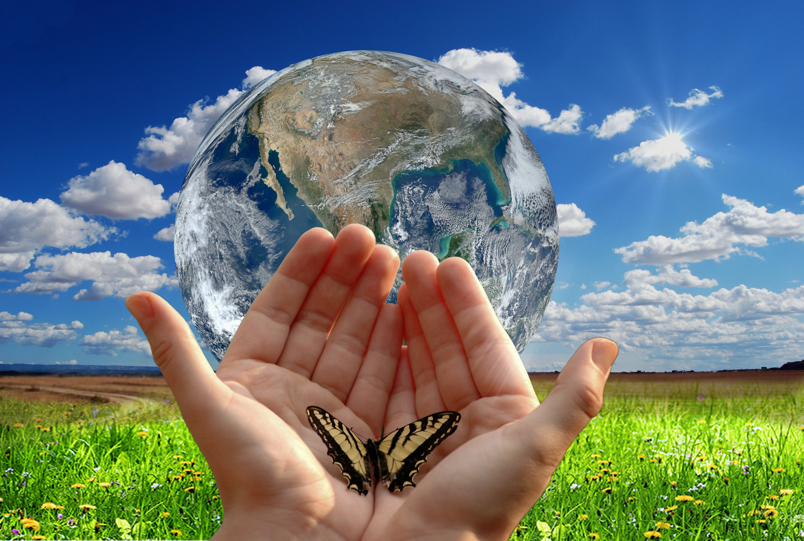 Denkt an unsere Umwelt Foto Bild digiart challenge Denkt an unsere Umwelt Foto Bild digiart challenge