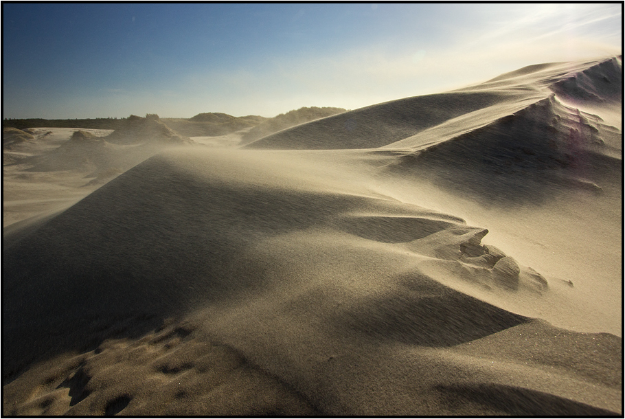 Denmark | migrating dune |