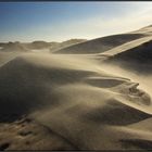 Denmark | migrating dune |