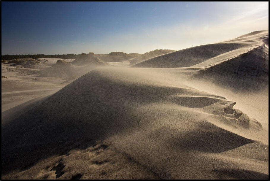 Denmark | migrating dune |