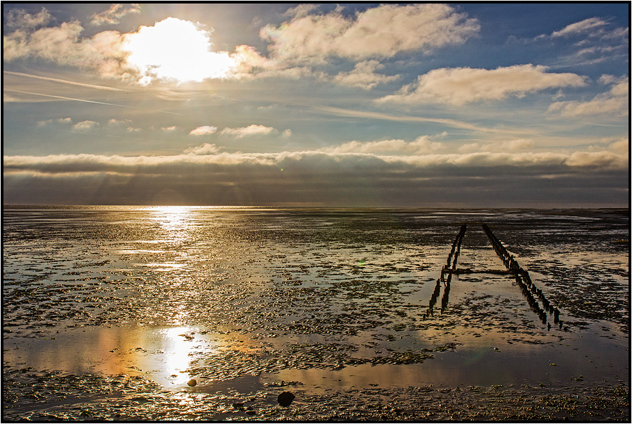 Denmark | Nationalpark Vadehavet |