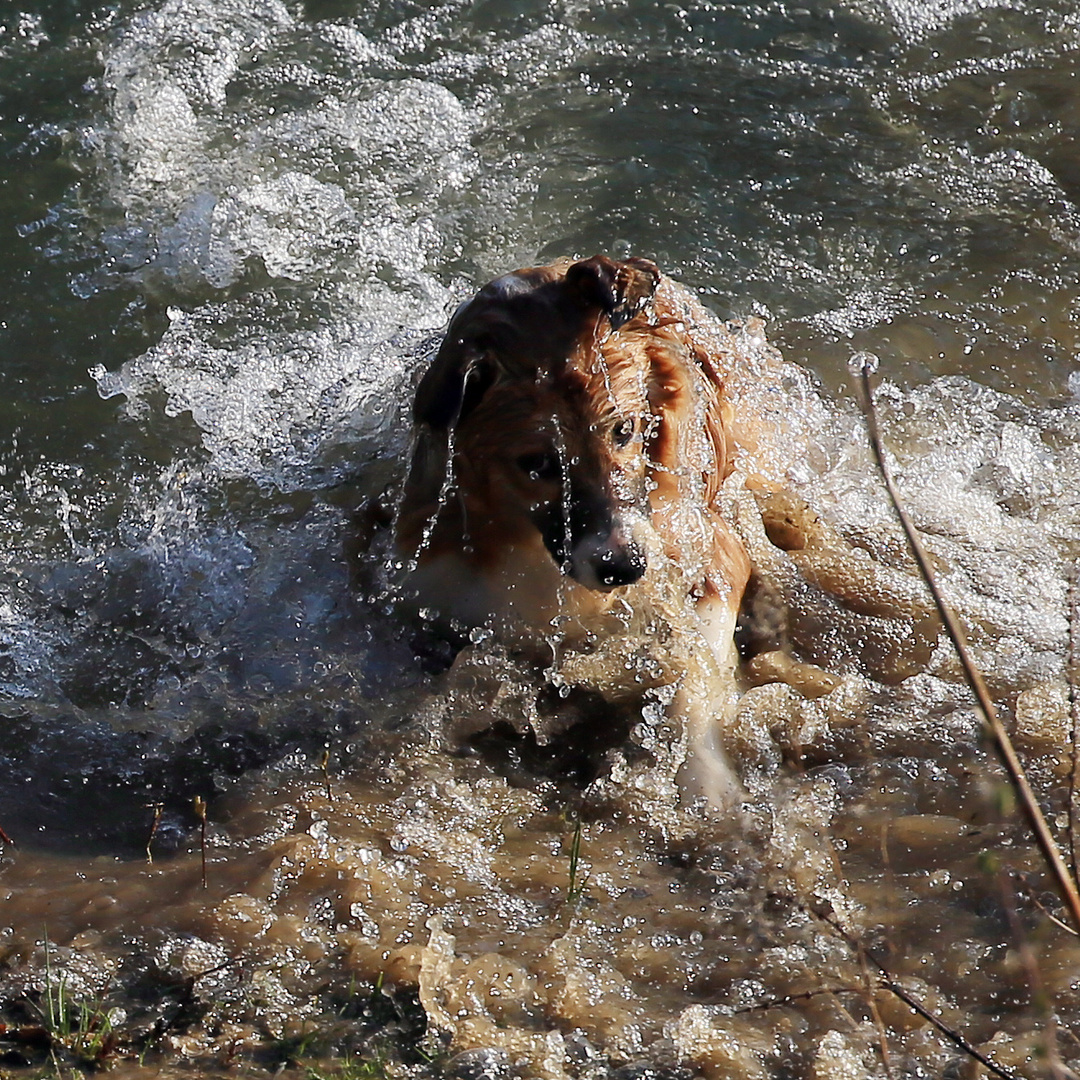 denn das Wasser war viel .....