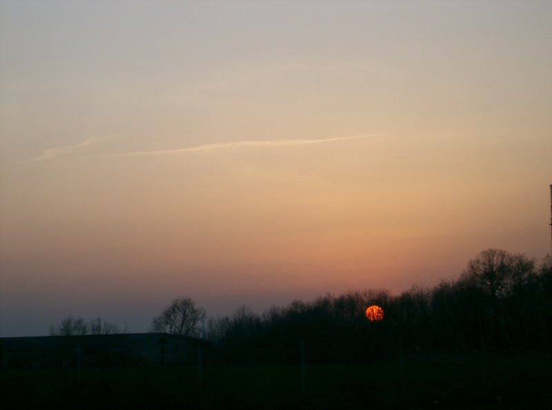 "Denn wie es im Himmel viele Wohnungen gibt, so gibt es auch viele Wege dahin" (Teresa von Avila)