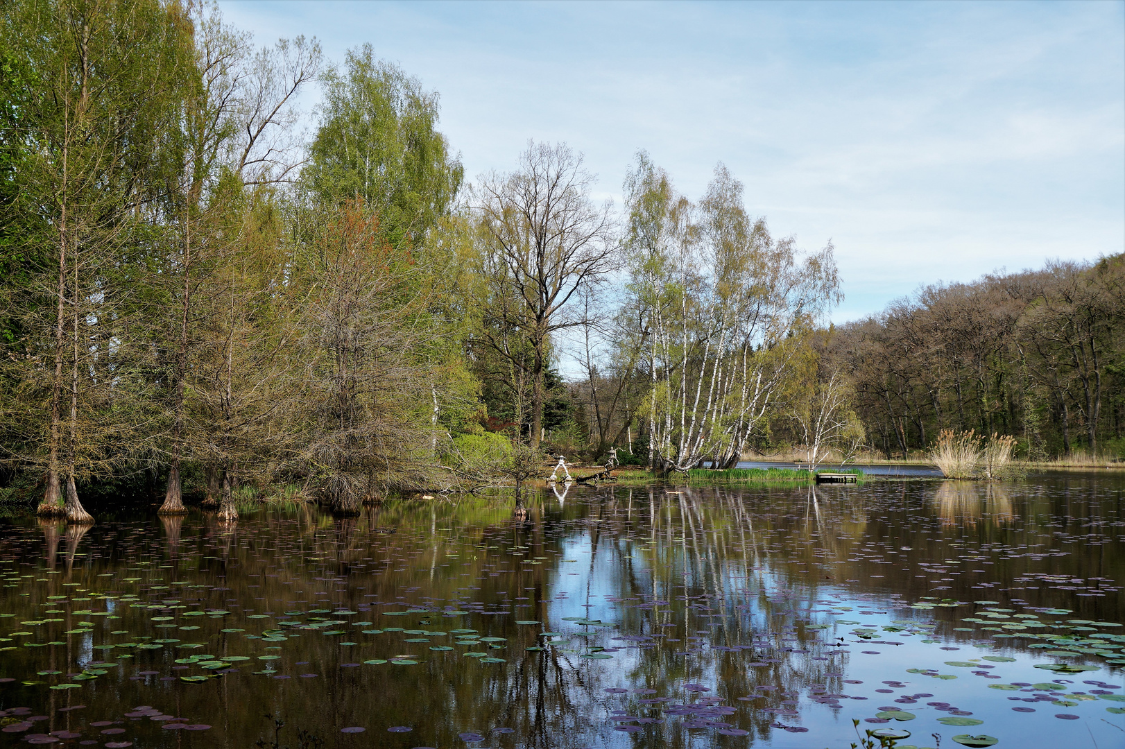 Dennenloher Park ...