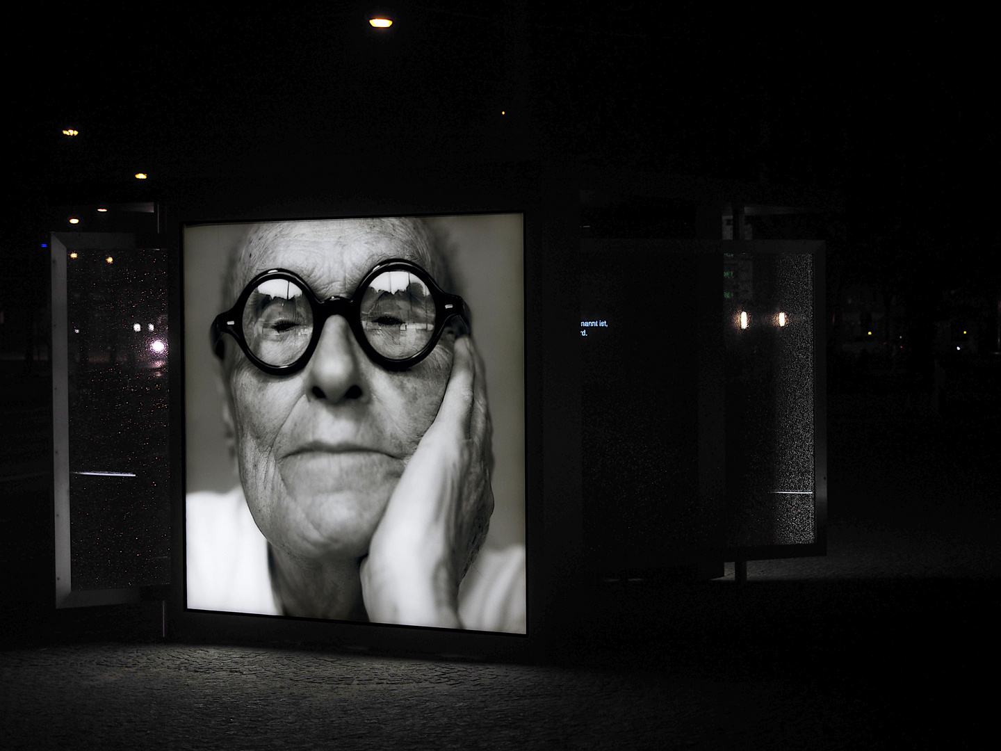 Dennis Adams Bus Shelter XII