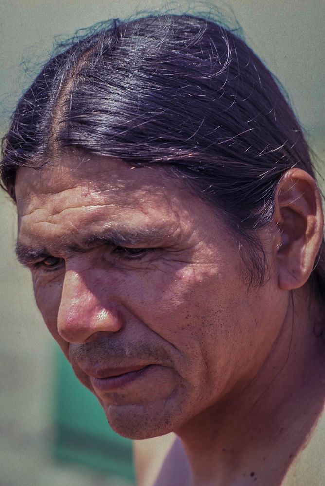 Dennis Banks Ojibwa Warrior (1937-2017)