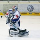 Dennis Endras Adler Mannheim