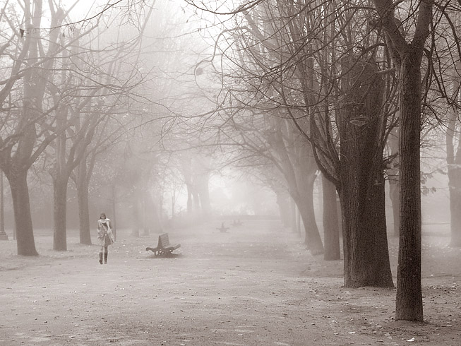 dense fog / portugal