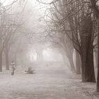 dense fog / portugal