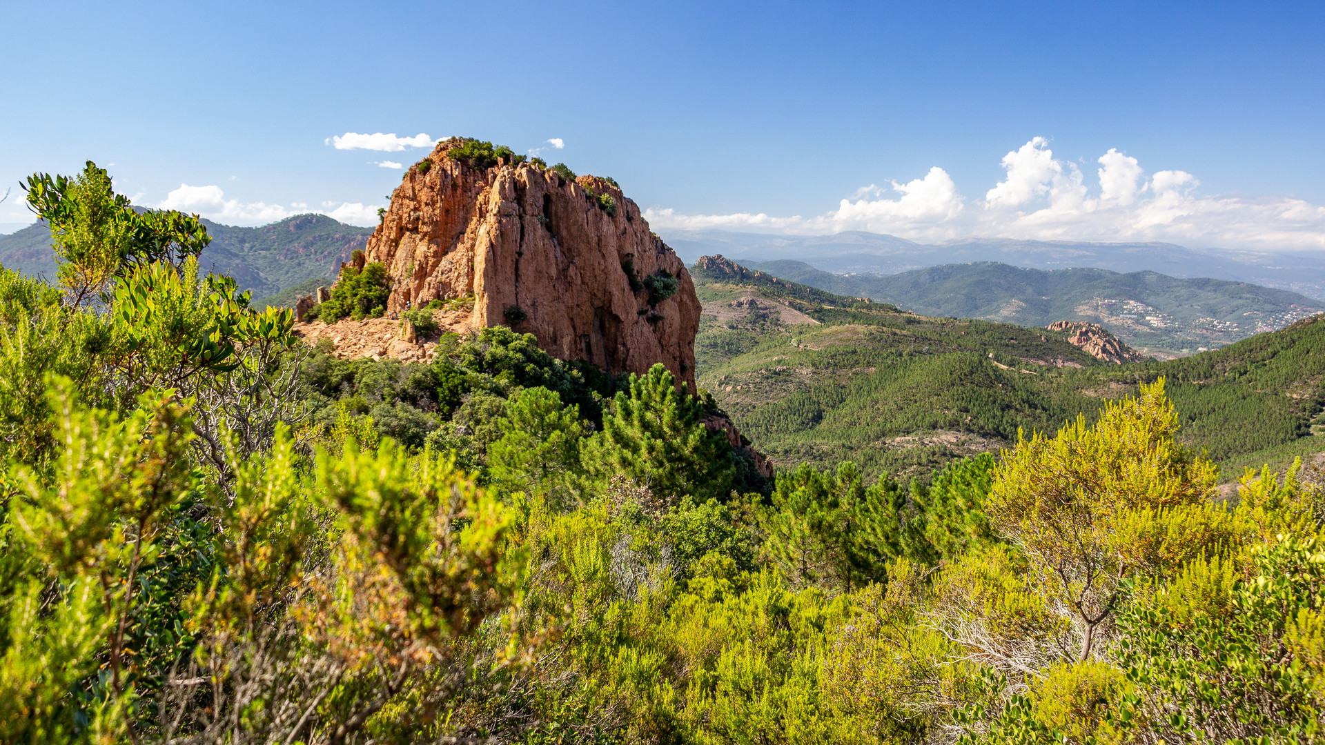 Dent de l'ours