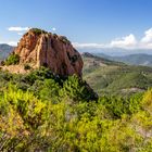 Dent de l'ours