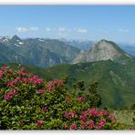 Dent d'Orlu face Nord alt.2222m vue du circuit du Pic de Tarbésou 20 juillet 2013.