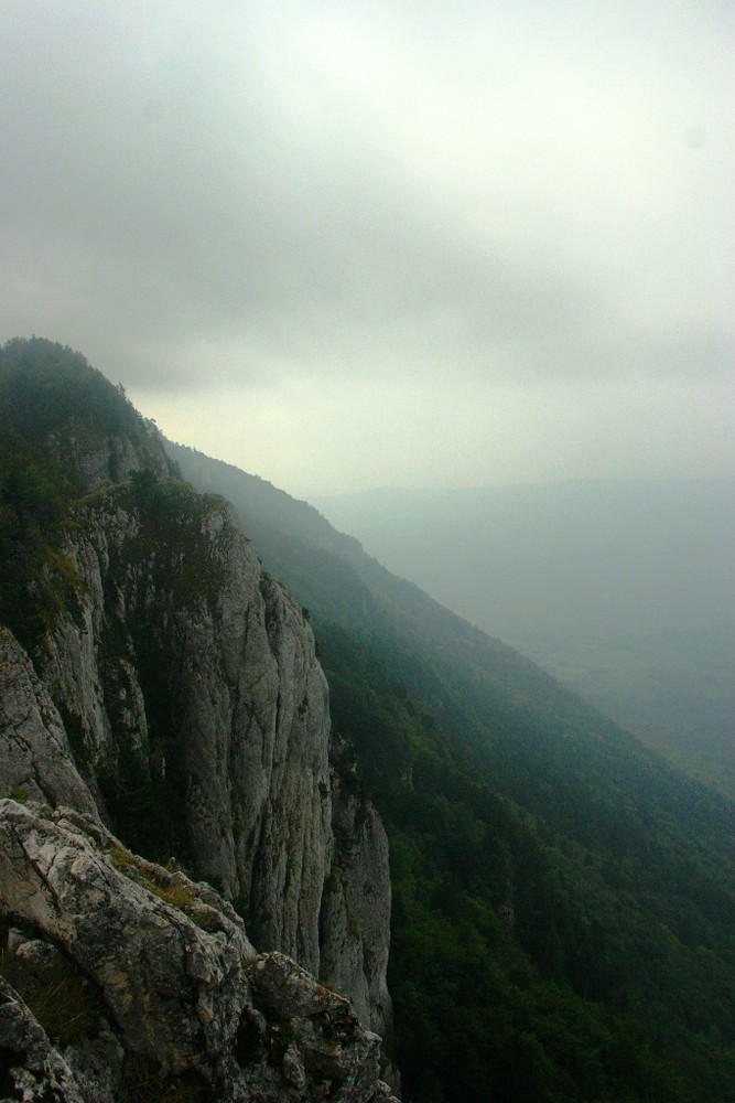 dent du chat, autre point de vue