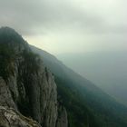 dent du chat, autre point de vue