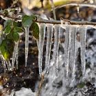 Dentadura de hielo